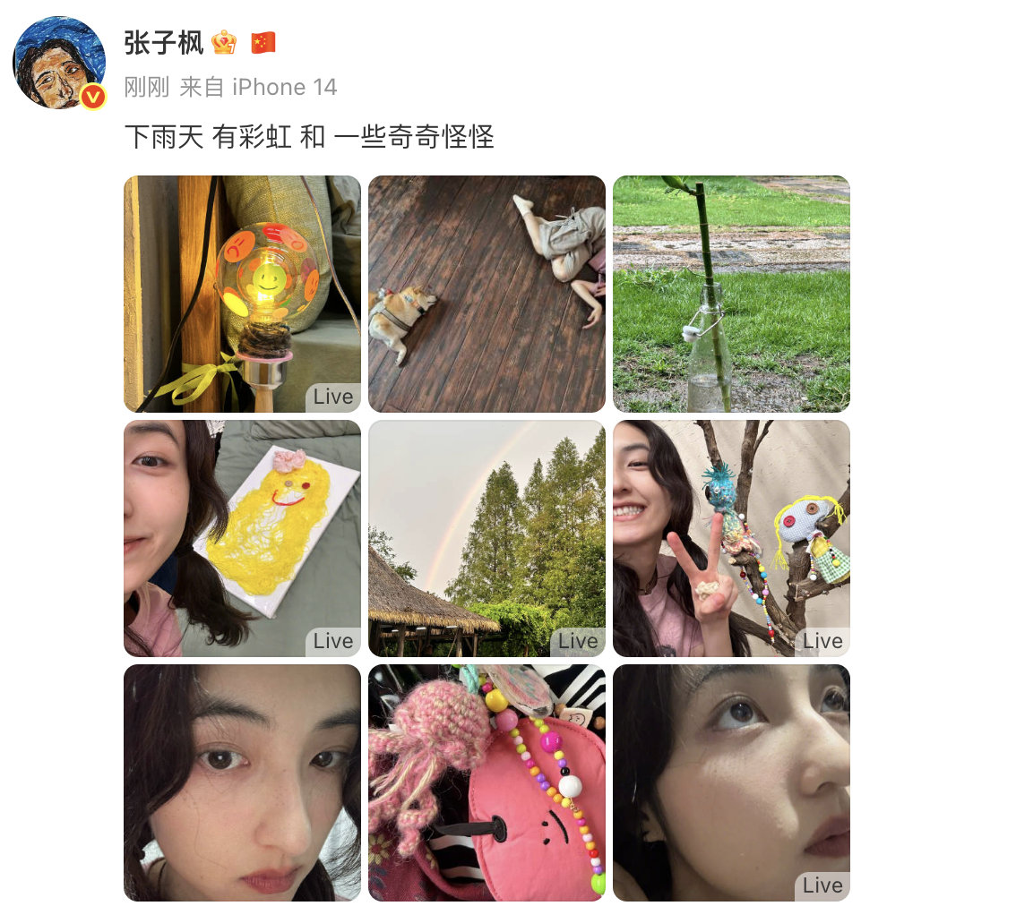 张子枫躺在地板上模仿小狗张子枫记录下雨天的日常分享永远这么治愈！她拍下的下雨天