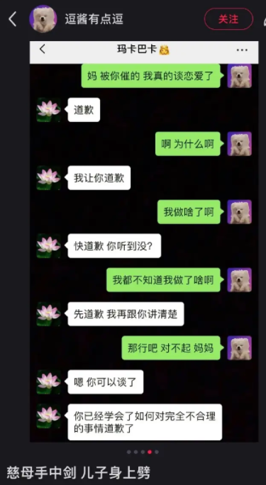 慈母手中剑