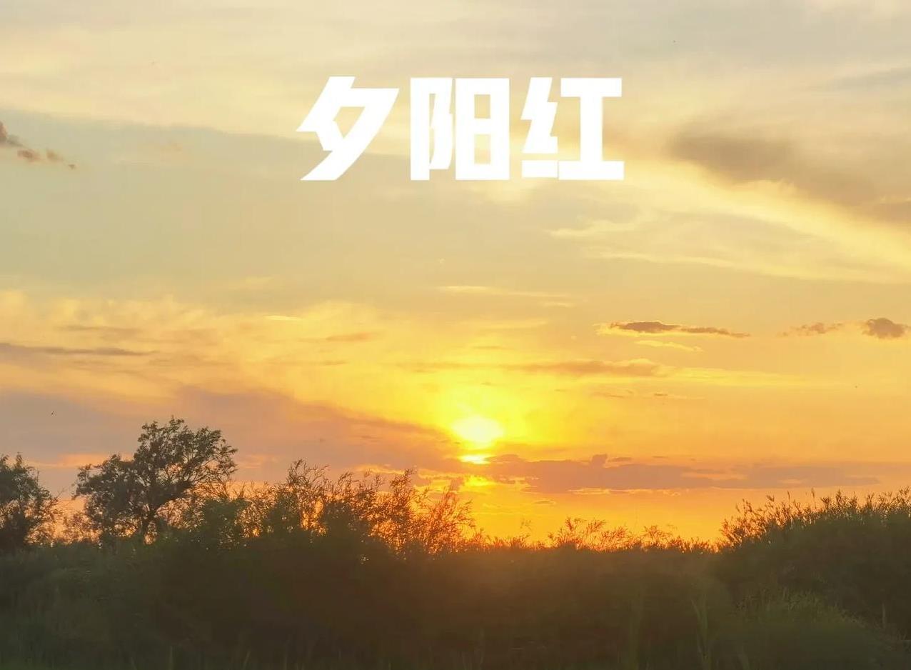 我现在觉得退休后的生活，比上班的时候还紧张。退休的大哥大姐们有没有这样的感觉。