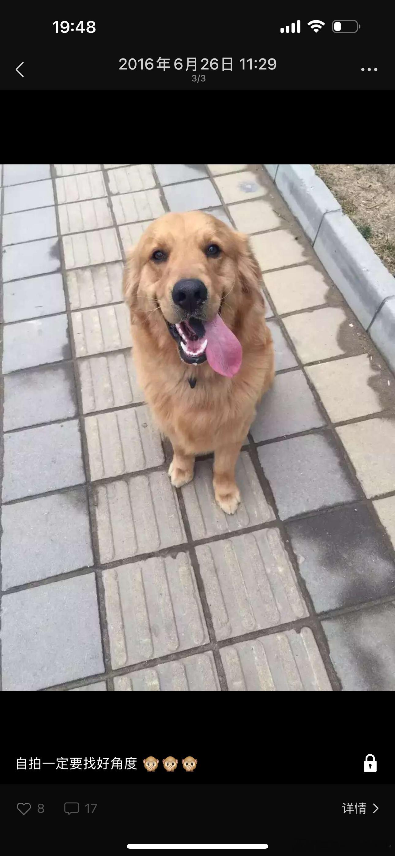 呦呵十年前的帅包