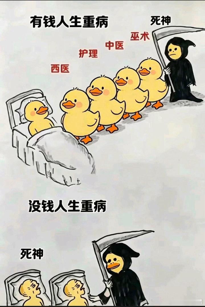 一句话亮态度当有钱人和穷人生病时，你品，你细品。
