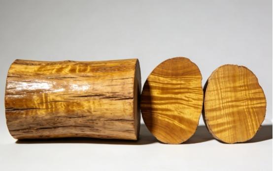 原来金丝楠木不是一种树！你是不是也和我一样，一直以为金丝楠木是某一种特定的树？直