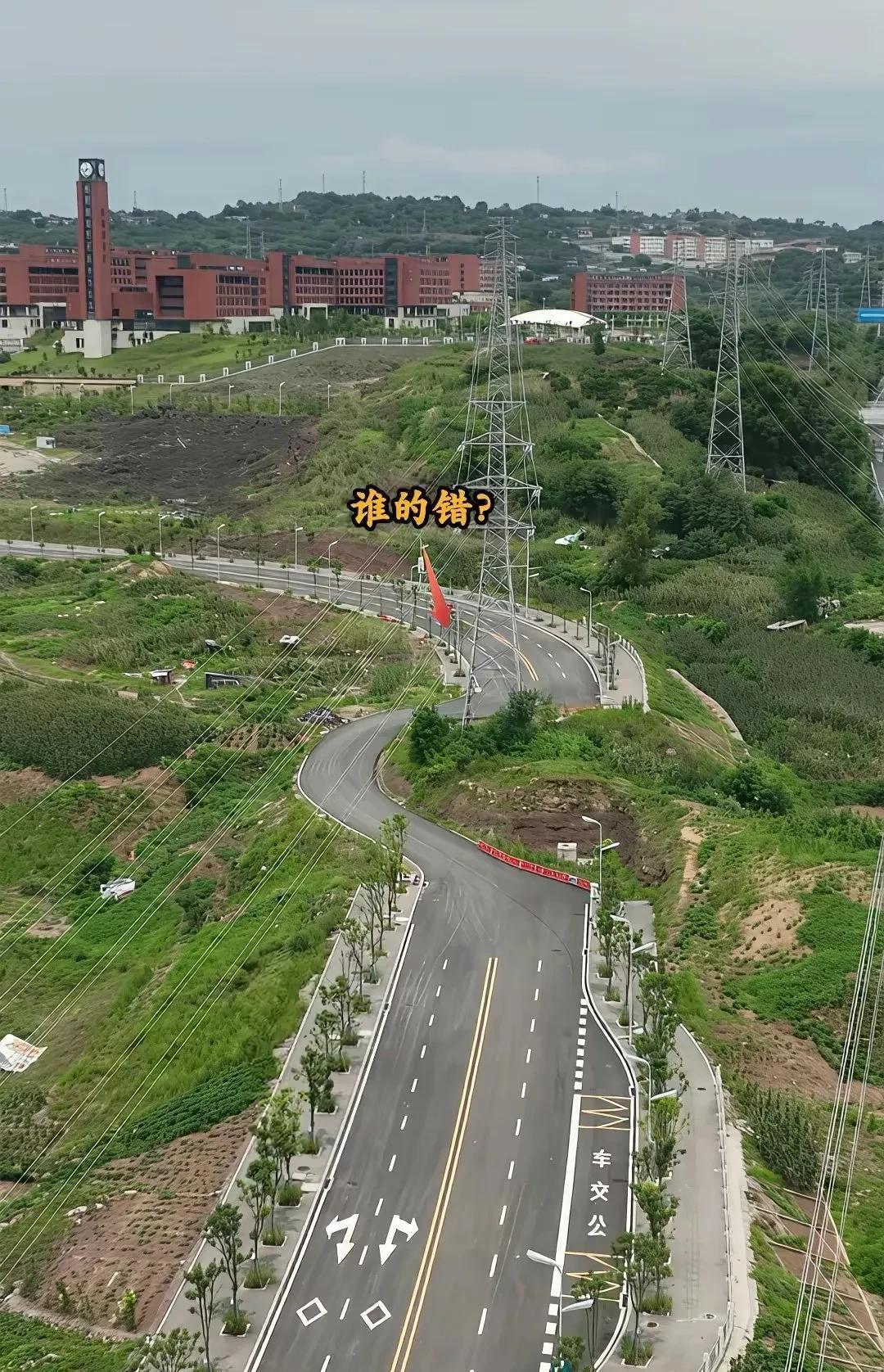 你觉得应该移电线塔，还是移路？