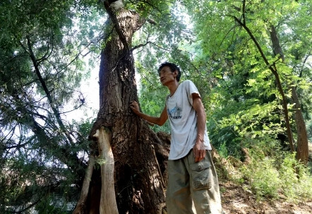 大老实的人真的太难了。就像职场里，领导就爱使唤老实人。老实人听话，领导说啥就是啥