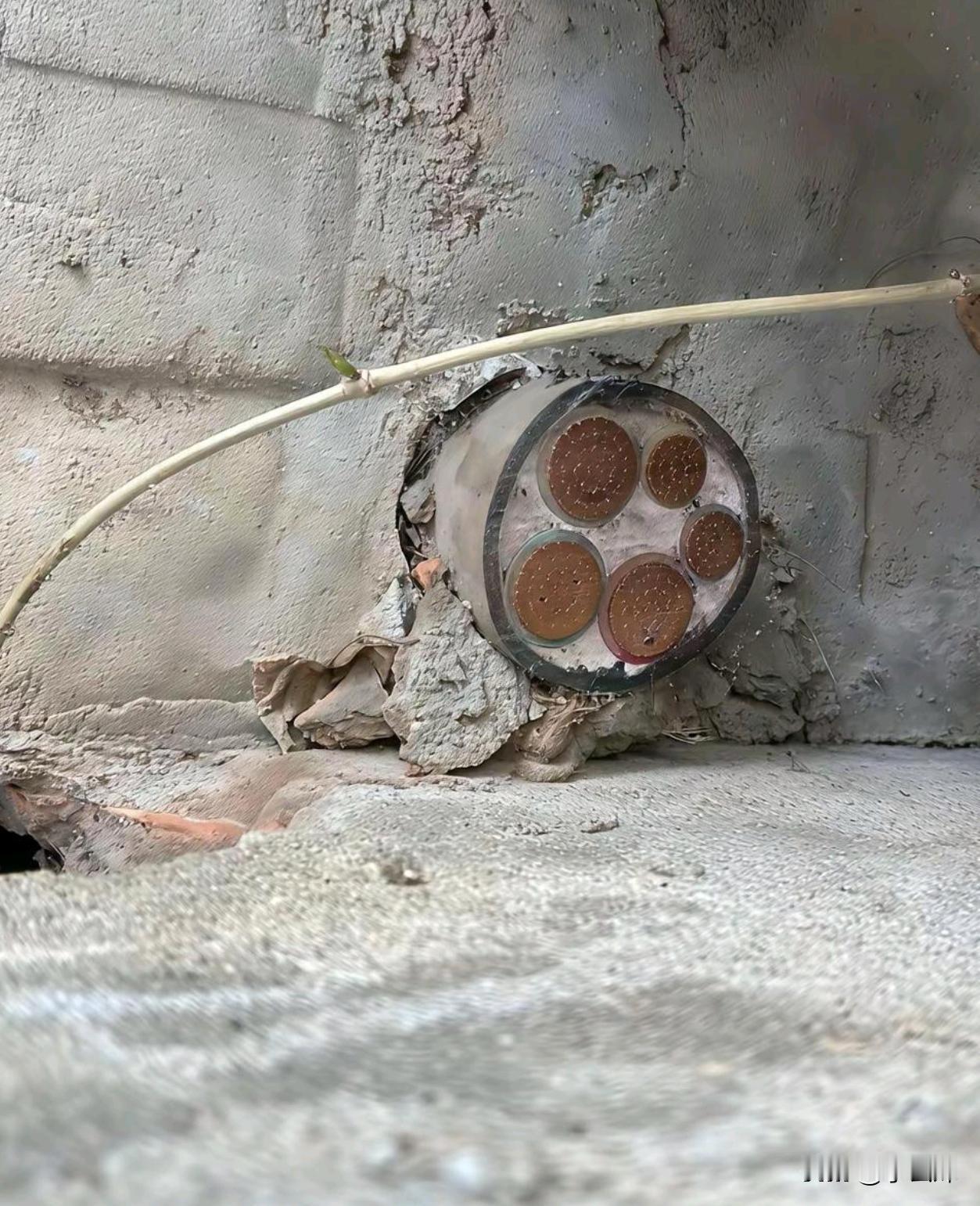 可惜了，还有十几米，怎么能弄出来？