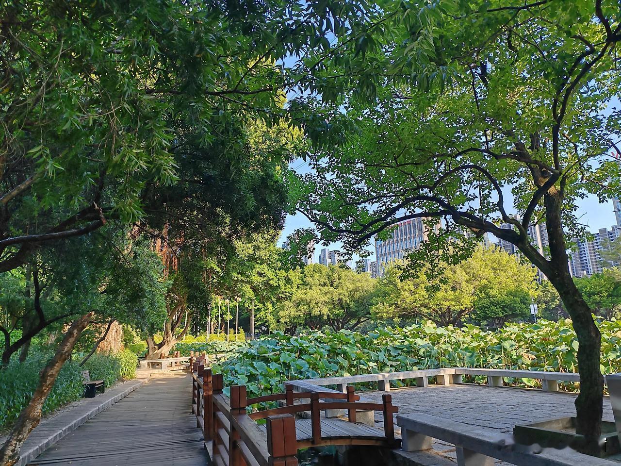 80后现在不是想着如何破局？而是要想着如何能缓解自己，什么房贷、育儿、养老“三