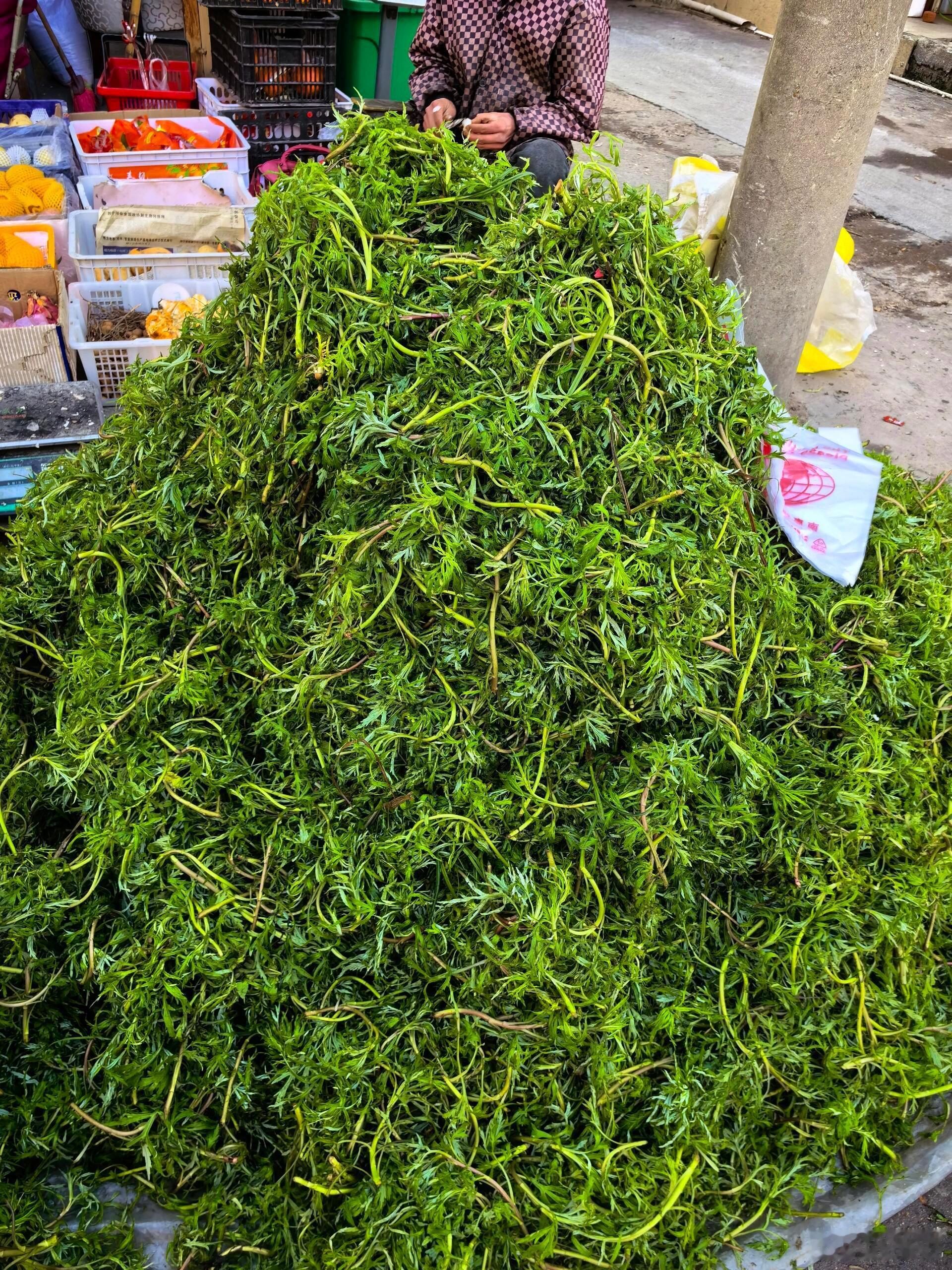 农贸市场的春季野菜​​​