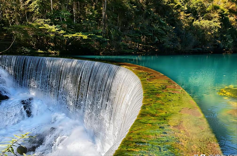 一位社会观察人员说:“很多单位其实早已经烂透了，他们就是在玩人。什么叫做玩人？