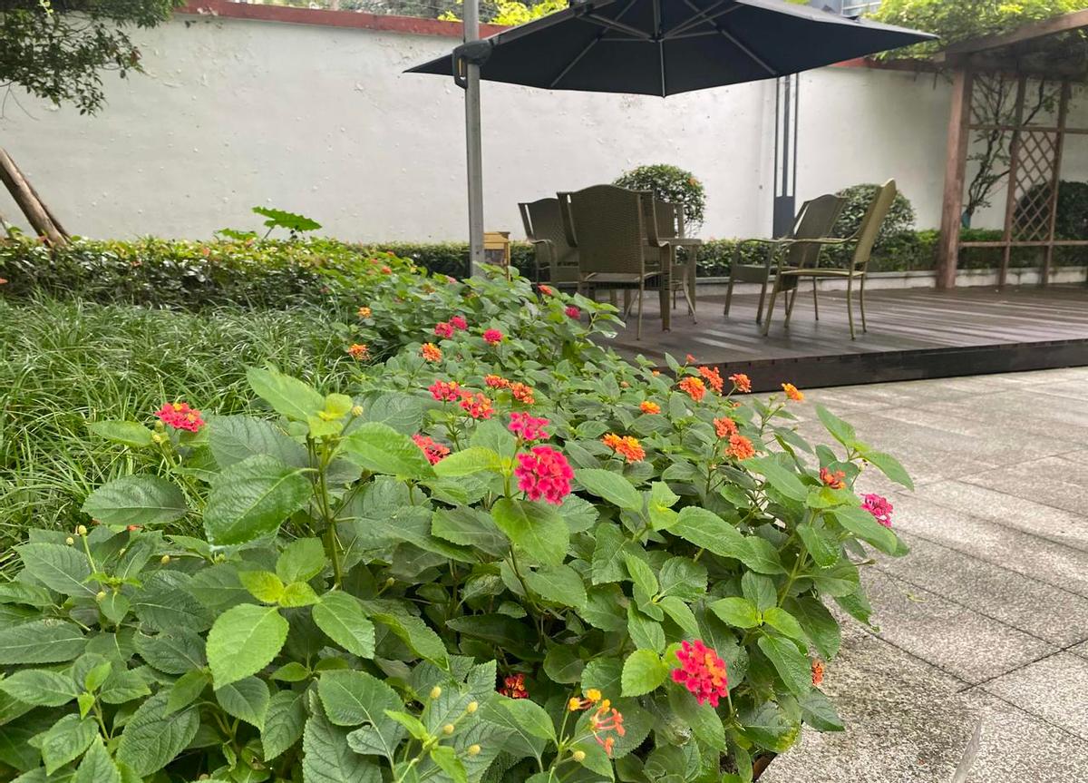 你不是老了才需要养老，是年轻时没准备，老了才被生活按着头认命。养老金替代率42