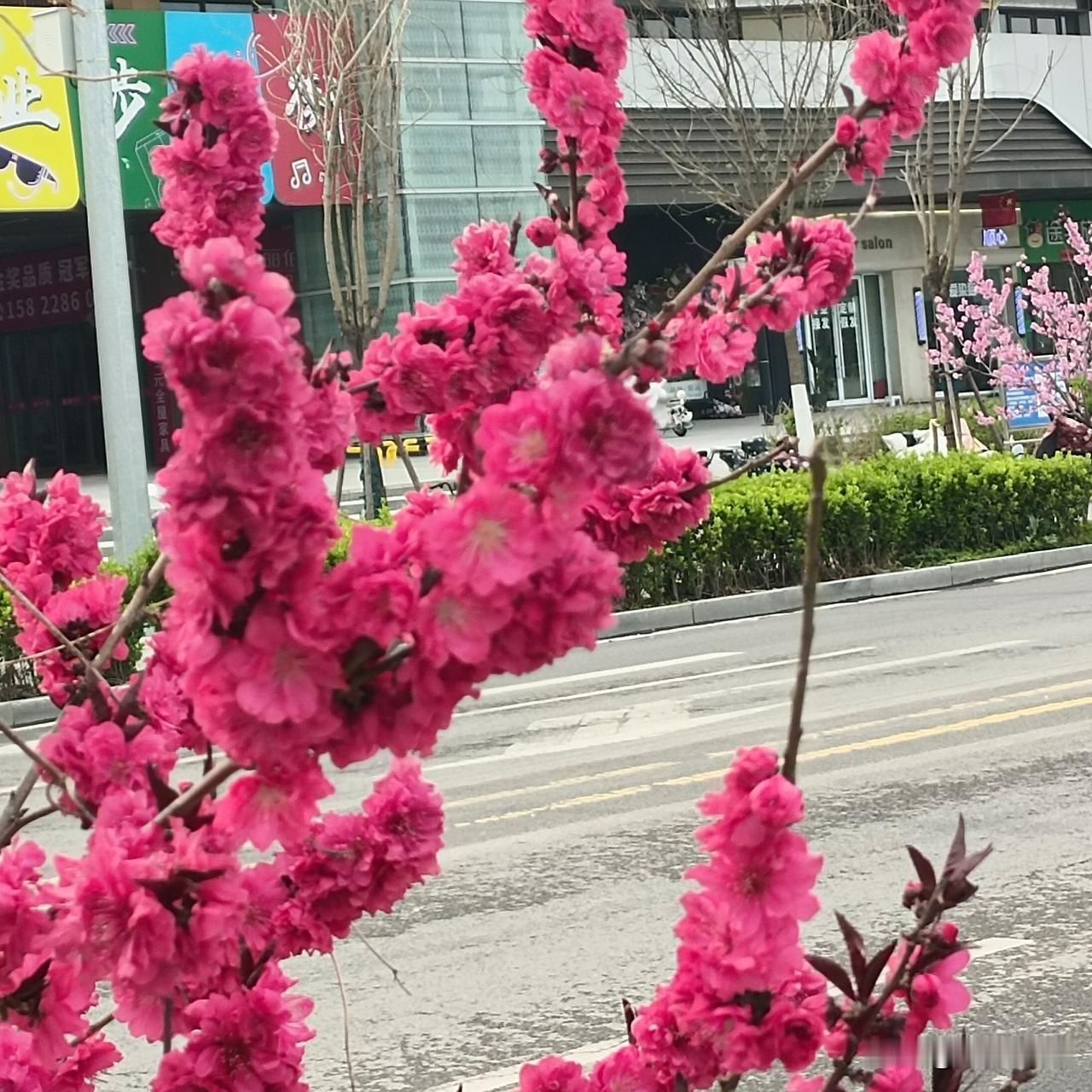 人到了50岁以后还有激情吗?人到了50岁以后还有激情吗?别被年龄骗了。50岁