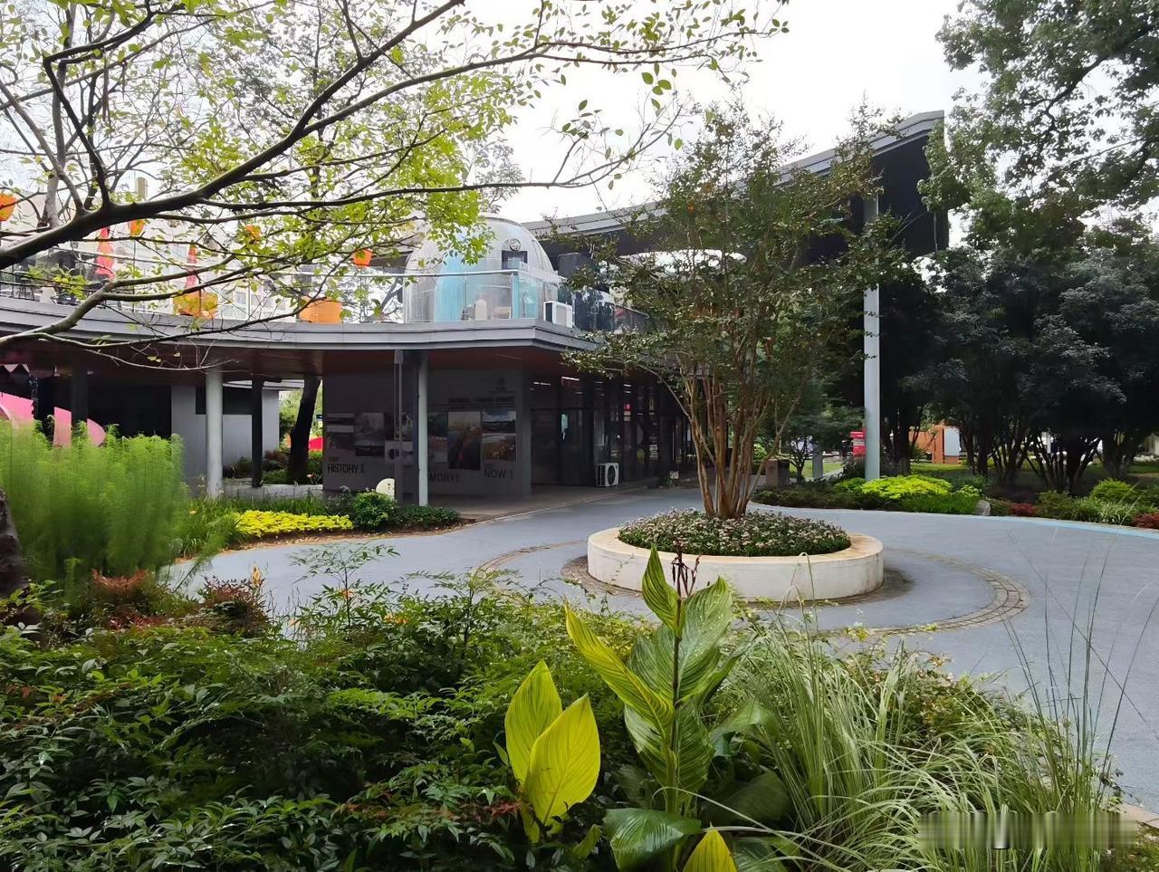 我今年55岁，前几天跟儿子交了底。一是把我银行里定存期的密码、股票交易密码以