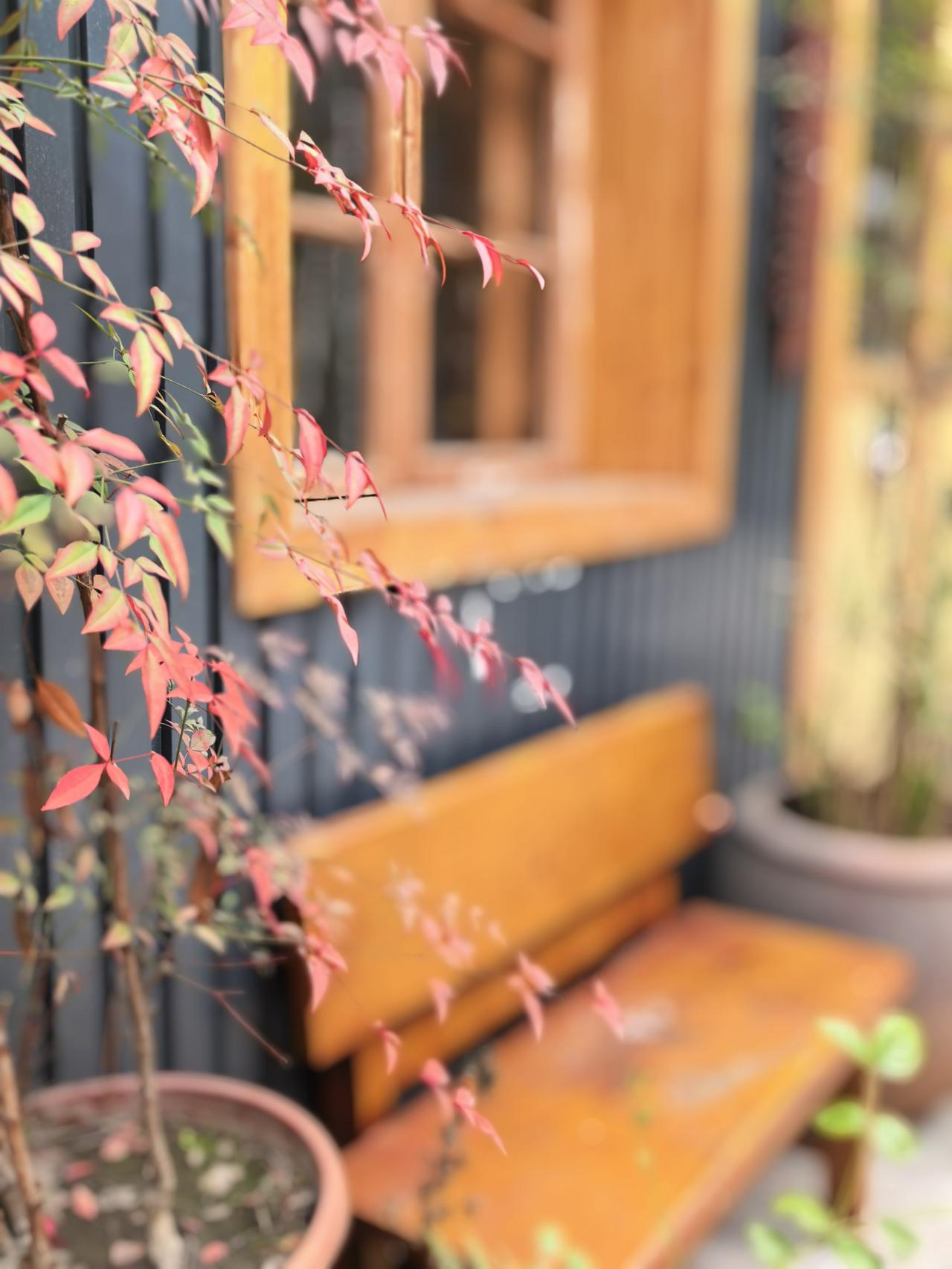 你身边有没有一种人？每天都要称体重，都要比较体脂是高了还是低了，体重是增了还是减