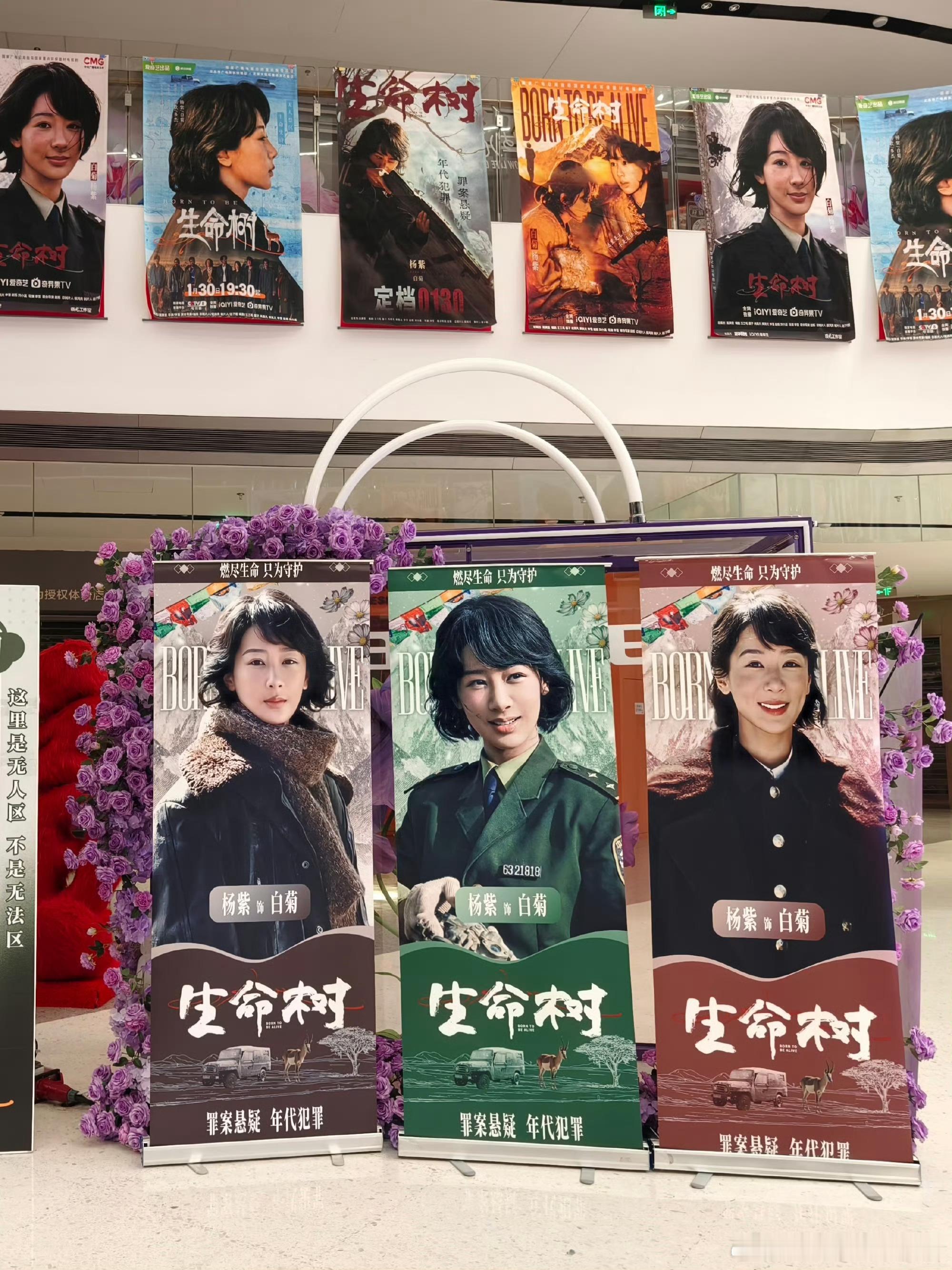 紫米生命树痛楼剧宣这海报……倒也不用……放得那么密集……的生命树实时热度845