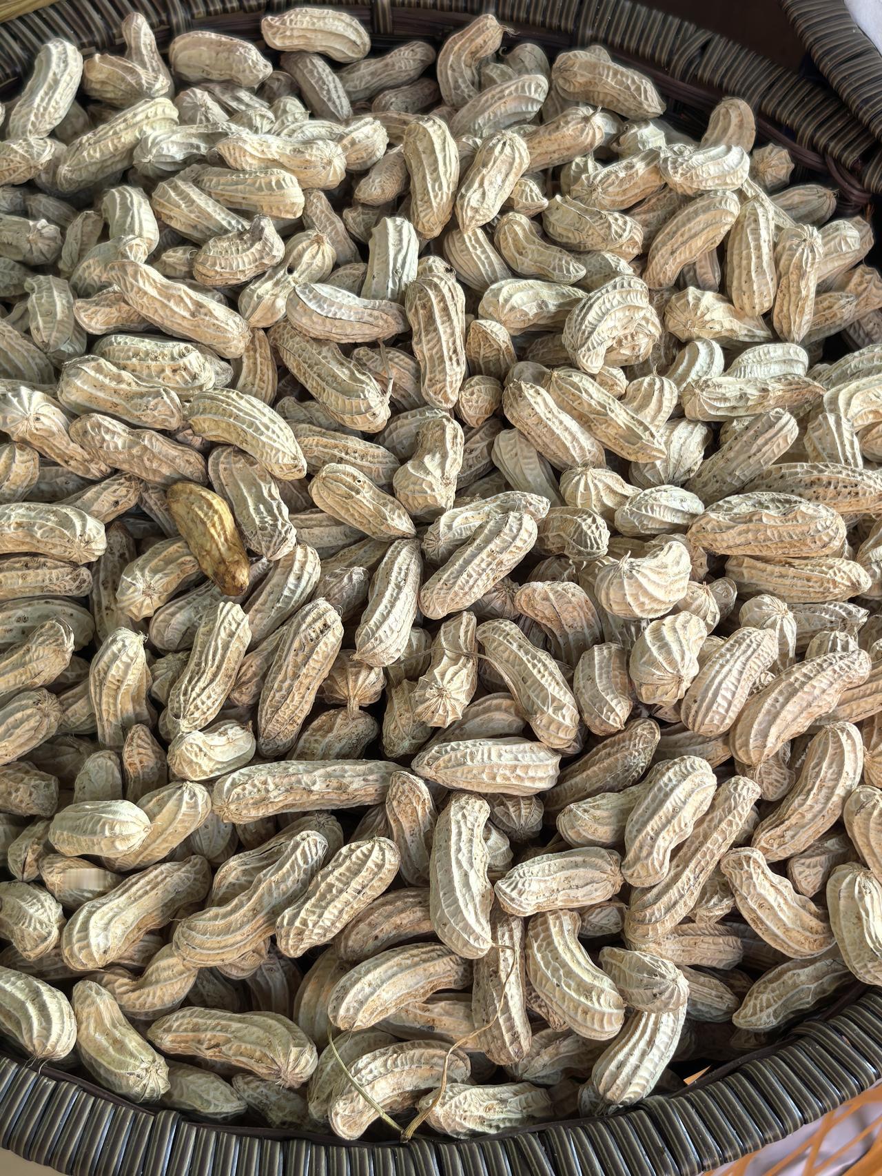 4月19号，在湖北当阳的早市上，平生第一次看见了这种花生。纹路很重，沟条很深，看