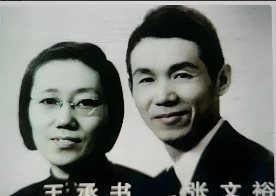 1960年，北大才女王承书扔下丈夫儿子不辞而别，丈夫张文裕翻遍北京城找不到人。1