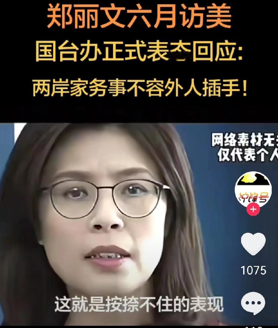 郑丽文访美，是跪舔、还是“警告”？5月3日，江启臣接受专访时表示：郑丽文除了访陆