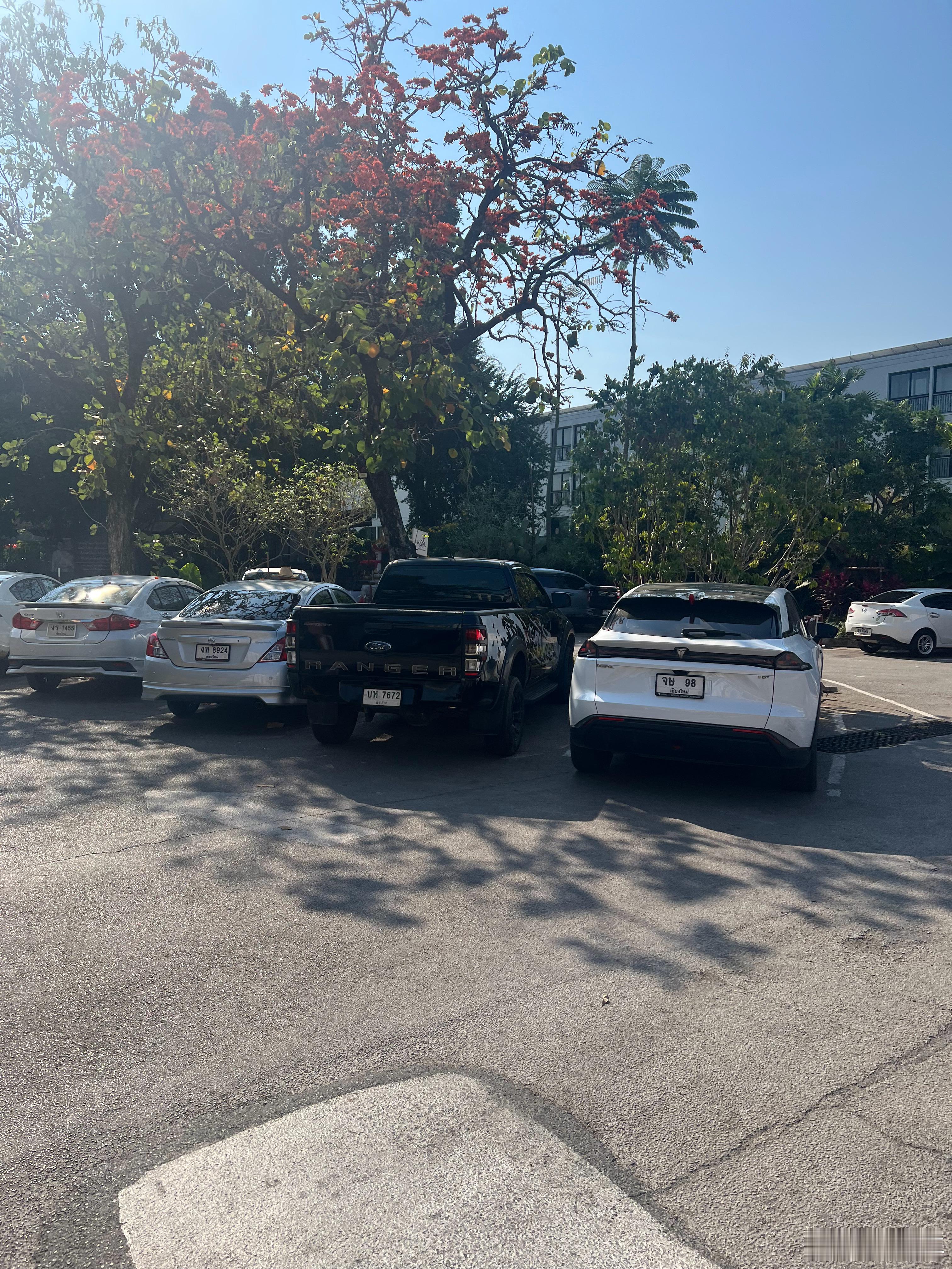 马年大吉﻿长安深蓝在泰国长安深蓝还是挺多见的，还有比亚迪和名爵。深蓝汽车泰国