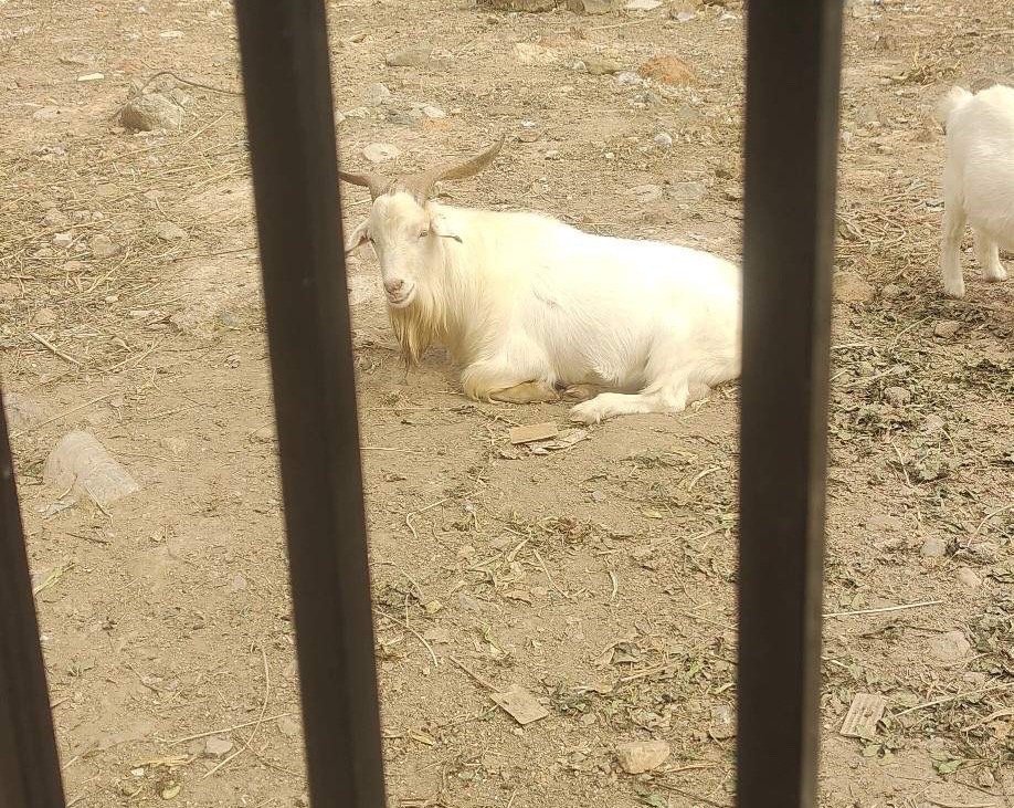 昨天底部放量的十大个股1.永臻股份——光伏设备业、倍量5.782.贤丰控股——养