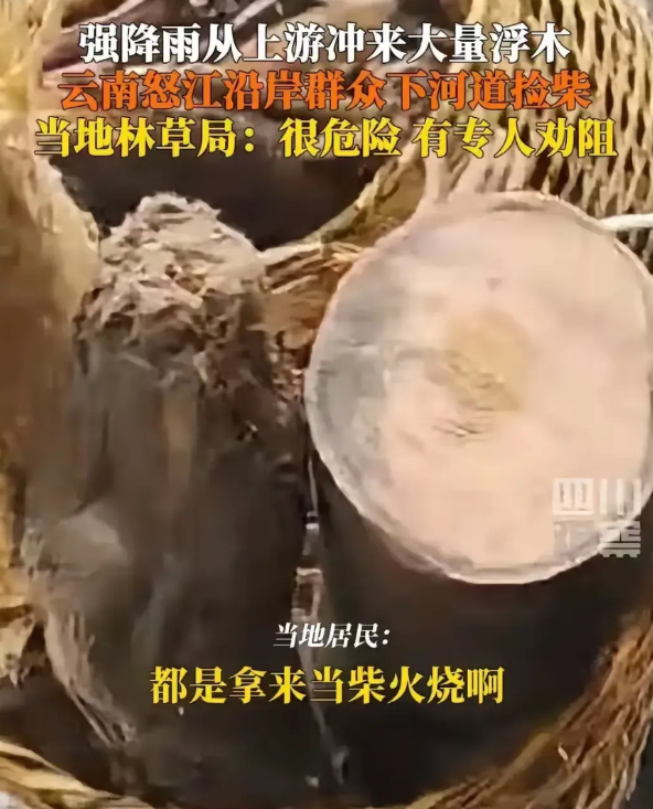 怒江洪水退去以后从上游冲下来的木料，不及时把它清理掉会造成河道堵塞的。当地林业局