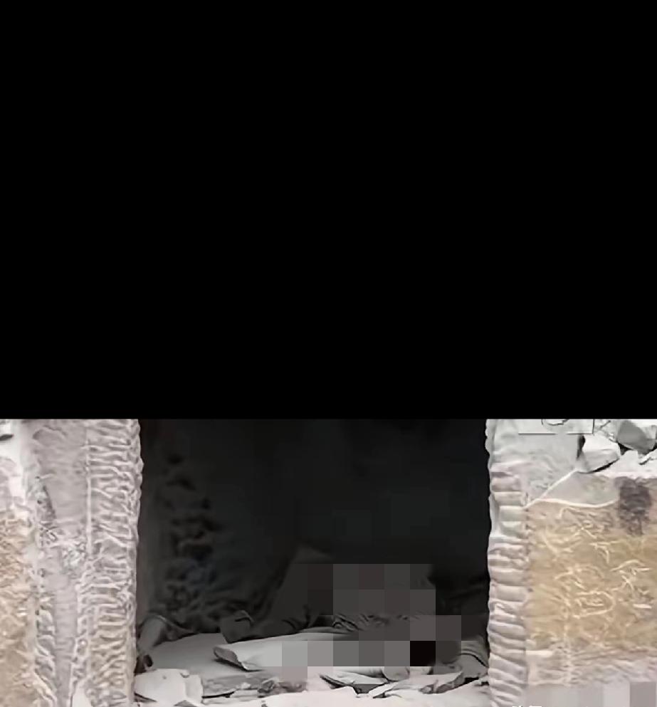 谢谢你，帮我找到爸爸找到时，已是一具干硬的躯体是被无人机发现的，孤零零地蜷在