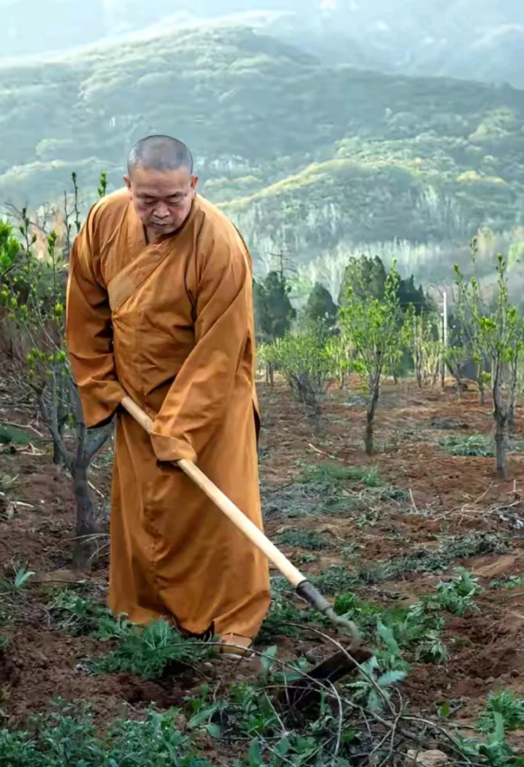 干活的释永信面无表情，看电脑的释永信全神贯注，在人群中的释永信笑得老开心了。毕竟