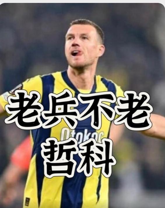 意大利队，缺天时少地利，波黑队光脚不怕穿鞋的！意大利足球在90年代处于巅峰状态