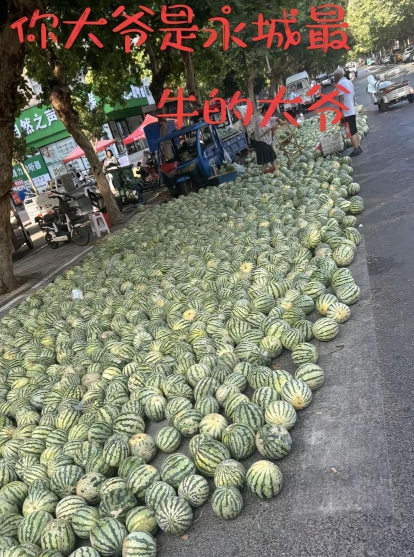 河南应该是西瓜大省吧，根本都吃不完，这是我见过最大的瓜摊，说它是卖西瓜界的天花板