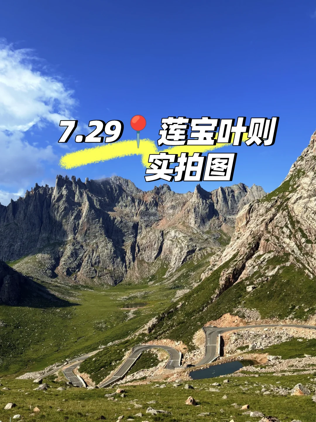 7.29📍莲宝叶则实拍！看完再去也不迟！