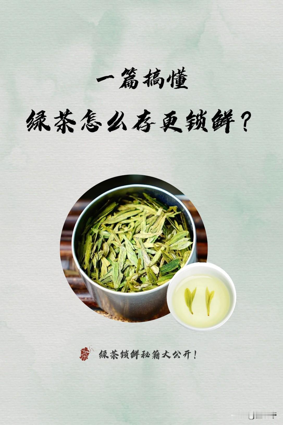 一组图了解绿茶怎么存更锁鲜！