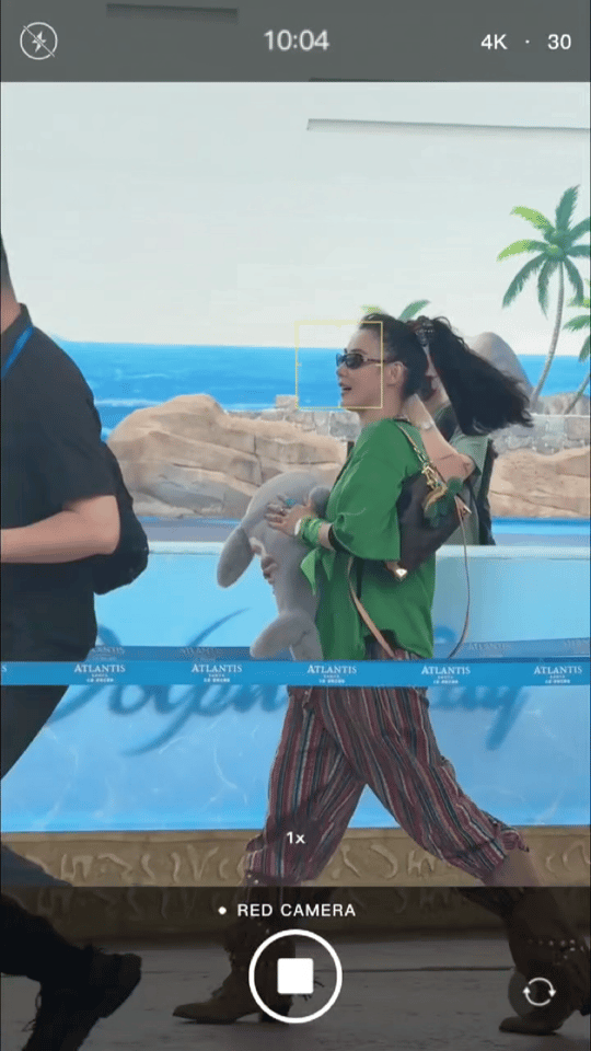 三亚偶遇张柏芝网友在三亚亚特兰蒂斯偶遇张柏芝，她抱着海豚抱枕蹦蹦跳跳，活力满满