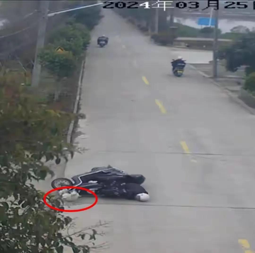 江苏泰州，大妈在路上骑电动车正常行驶，突然钻出一条狗把她撞飞，导致颅骨骨折、多发