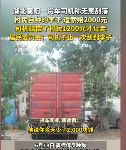 湖北襄阳，货车司机开着货车进村，结果车厢太宽，道路太窄，通行中将路边的李子树，蹭