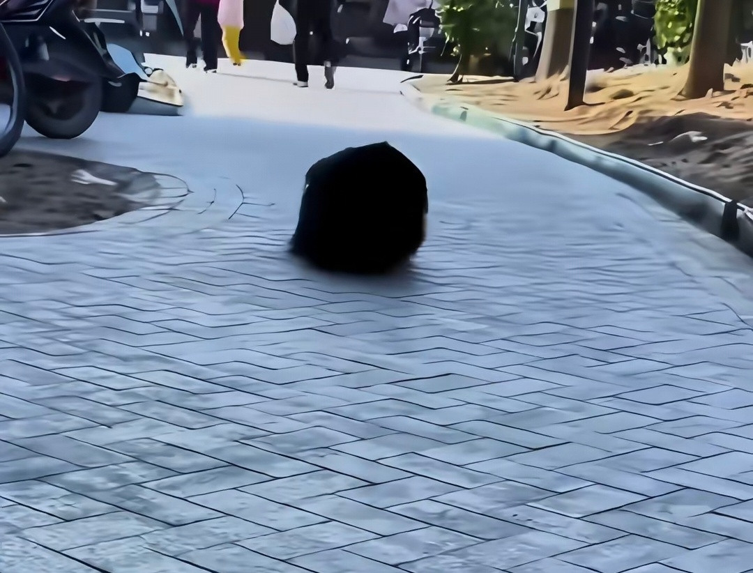 看实物之前：画成这样这辈子告别画画了看实物之后：神笔马良