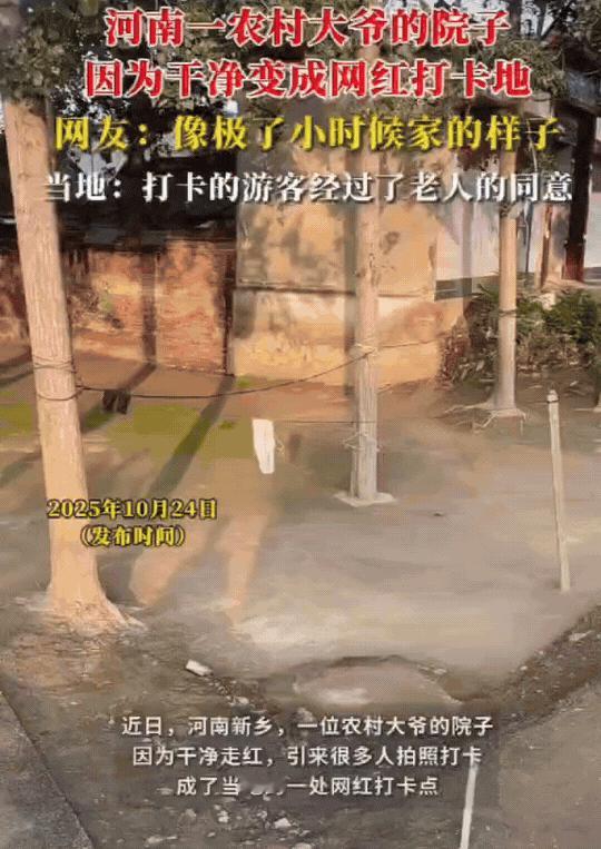 河南一大爷的院子，因为像极了小时候家的样子，成了网红打卡地。视频中，大爷的院