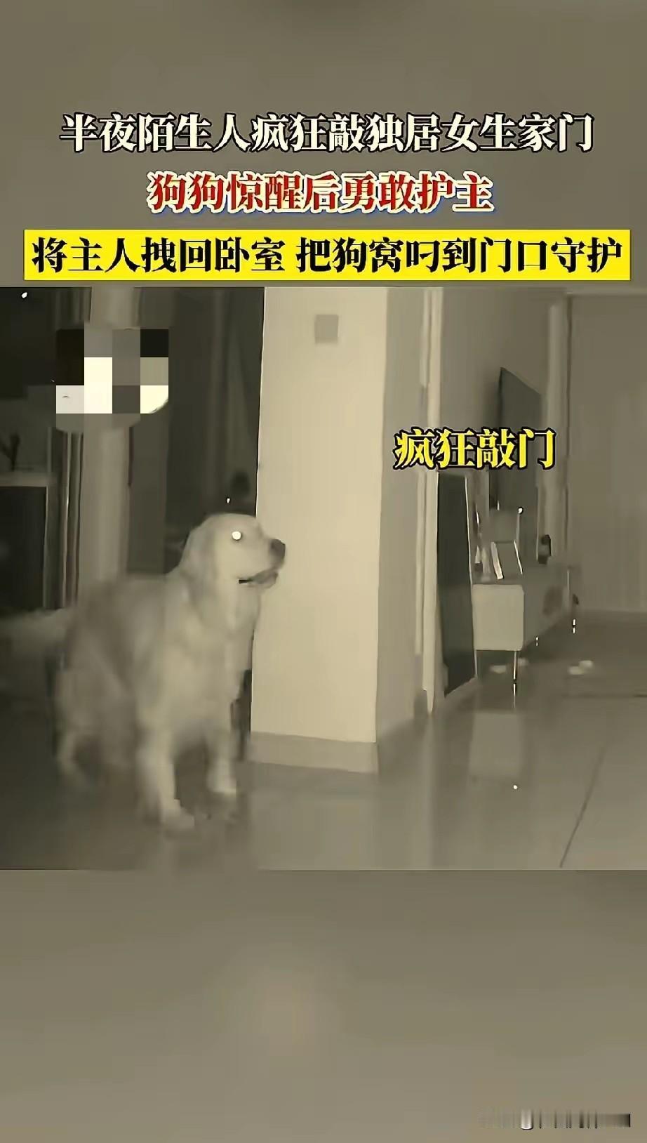 “太勇敢了！”吉林，一独居女子凌晨突然被急促砸门声惊醒，吓得她颤着腿走出卧室查看