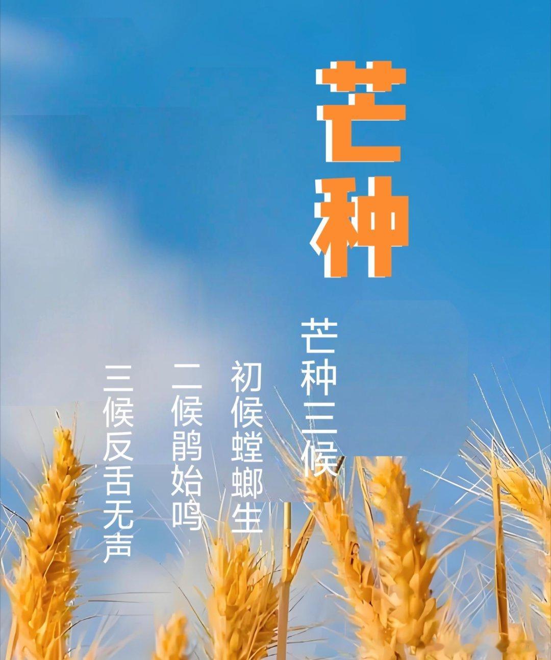 五言顺口溜.芒种东风传喜讯，节序迎芒种。村村绽笑容，处处瑞气腾。击壤歌...