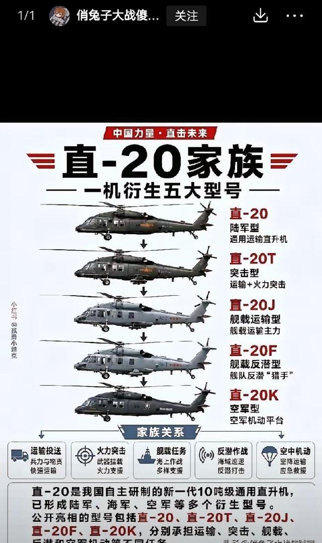 直20是多功能直升机，我海军、空军、陆军需求量都很大。直20堪称直升机领域的“全