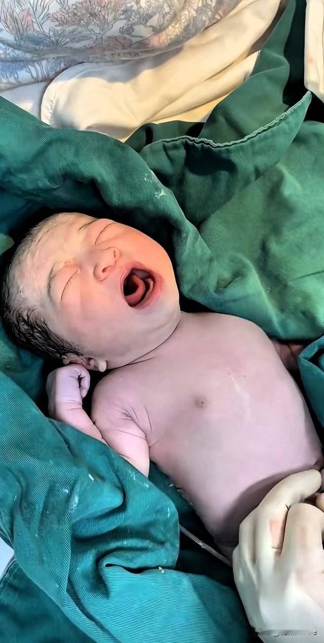 一位怀胎八个月的孕妈突发意外离世，婆婆坚持要求剖腹取子。医生无奈配合手术，成功救