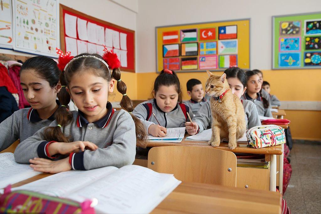 一幅收录在土耳其新版中学教材中的地图，悍然将中国新疆、西藏、青海、甘肃的大片国土