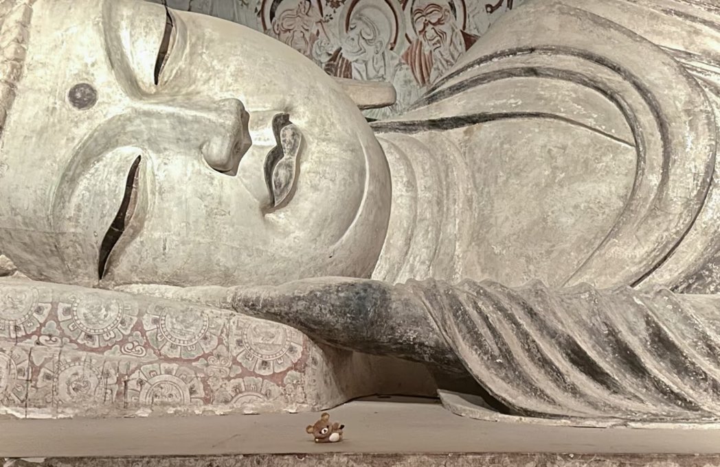 佛与熊，睡觉不是罪过