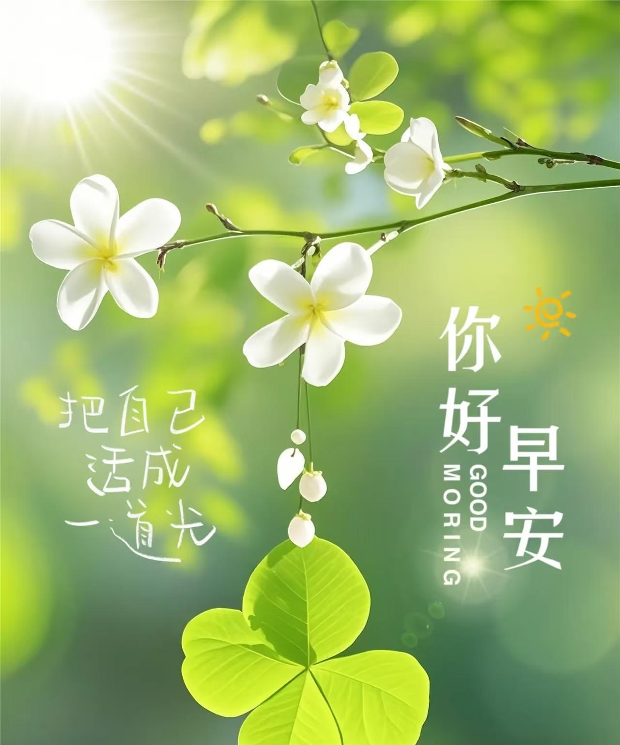 早上好，今天是9月4日星期四。昨日<em>大</em>阅兵，天津女排组织集体观看，看到袁心玥和<em>姚</em>