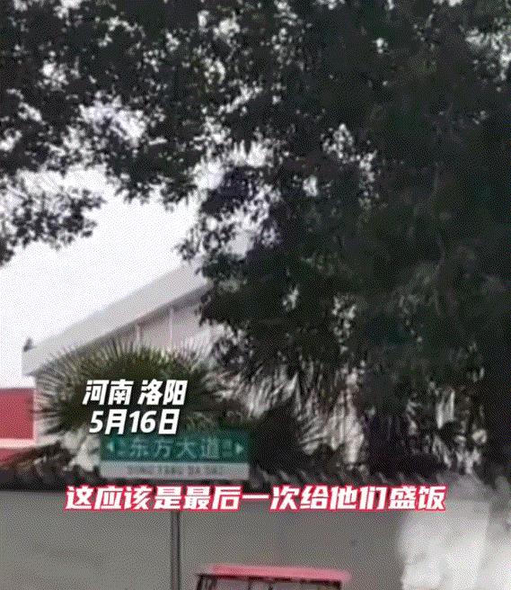 河南，一盒饭摊主，好心给两名翻垃圾桶找吃的男子免费送盒饭，并持续了一年。但这期间
