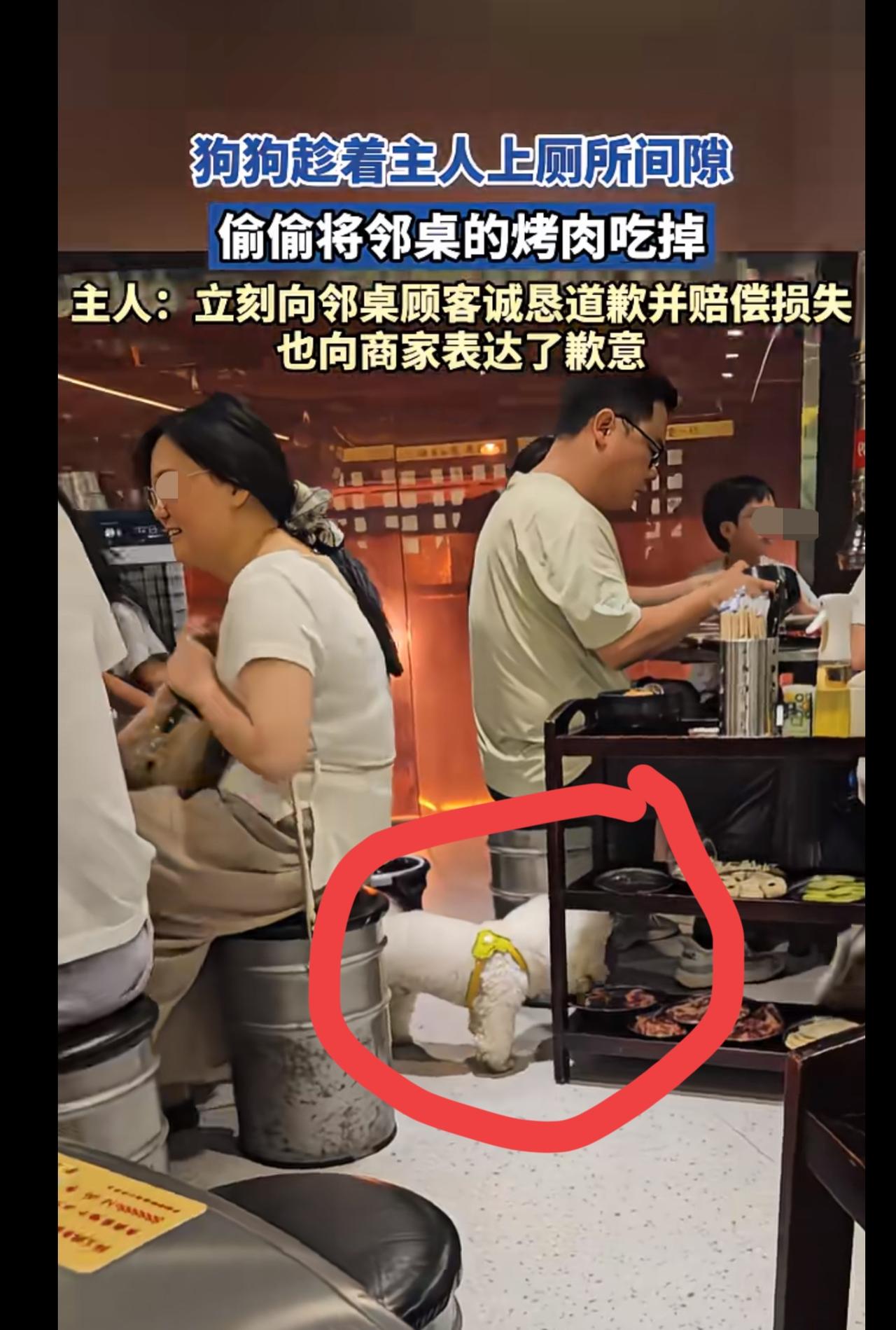 以后看到有狗狗可以进去的饭店，可不敢人再进去吃饭了，虽然狗不能上桌吃东西，但是它