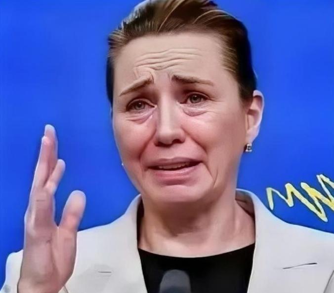 丹麦政府痛恨中国，丹麦的外交大臣拉斯穆森表示，过去不允许中国对格陵兰岛投资，现在