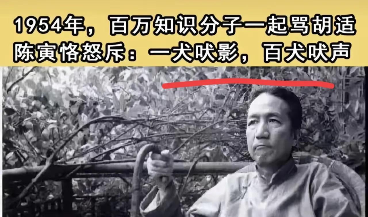 百万知识分子怒斥反动派胡适，他居然阴阳怪气评论，一犬吠，百犬叫？曾经，由于反动