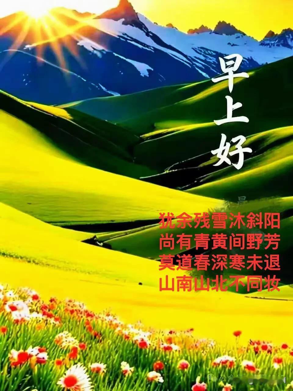 晨光正好，周末安康，愿你被美好温柔包围。