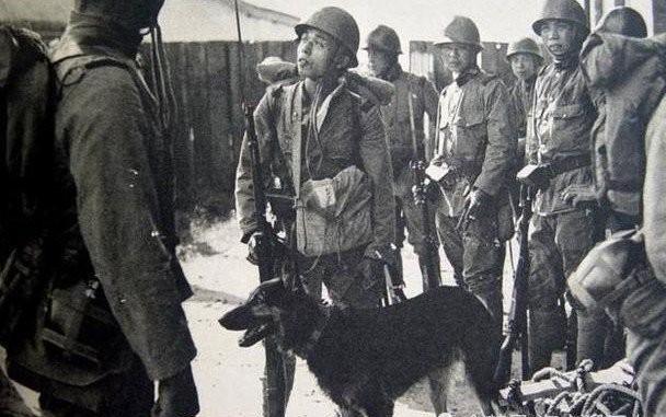 1938年，两个女八路被日军包围，她们跑进灌木丛藏了起来。没多久，一群日本鬼子就