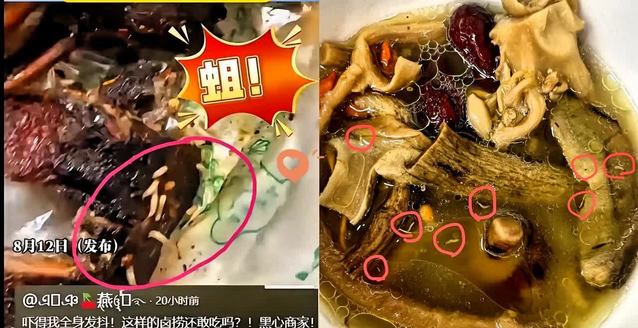 女子买的卤肉，一打开密密麻麻爬满了蛆，去退款，商家看到蛆竟然笑了！