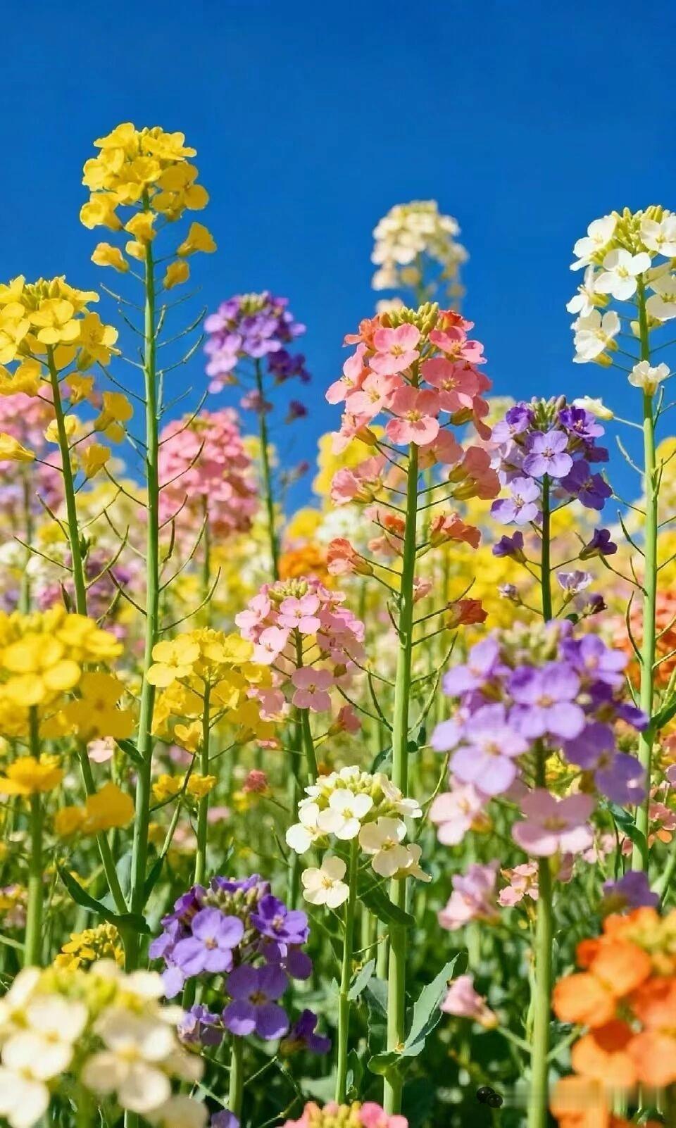 天蝎座什么时候最可怕？没人惹她的时候，天蝎慈悲为怀，与世无争。有人惹她的时候