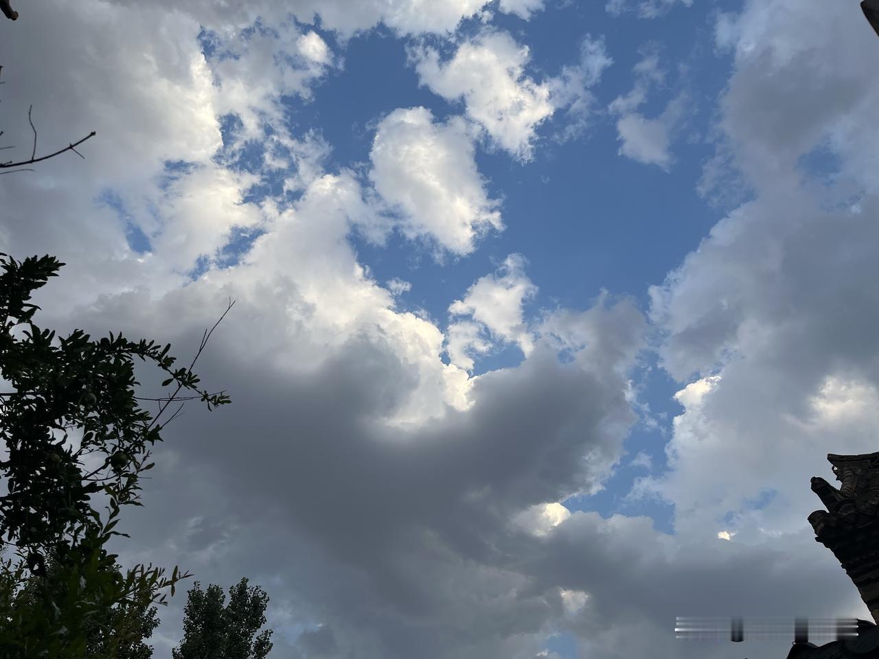 今天弟弟找我借钱了！我没借！我弟和我属于不经常联系的那种，我也结婚有孩子了，每